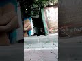 الحب كلو Fyp كوفو 