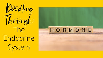 Doodling Through the Endocrine System: CC Cycle 3 Week 11 Science Foundations MemoryWork Supplement