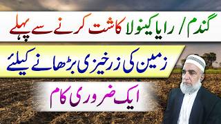 How to improve Soil Fertility before cultivation of Next crop || Crop Reformer