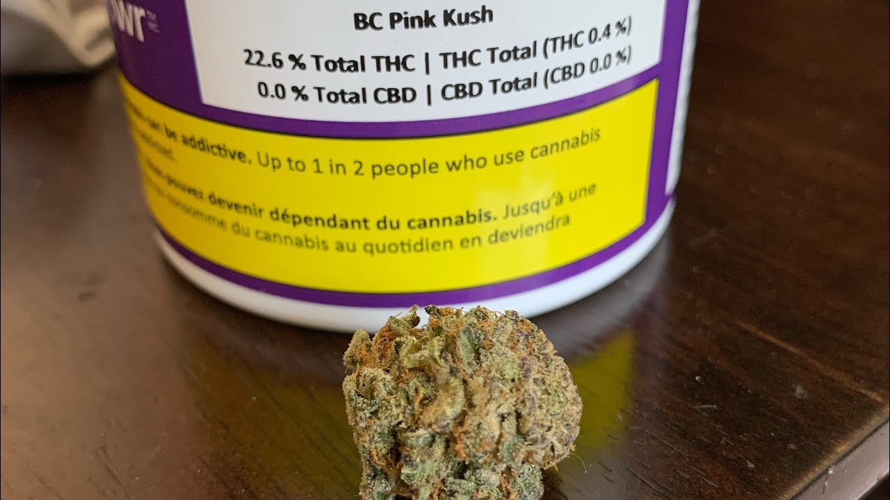 Strain Review Saturday!! BC Pink Kush