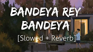 Bandeya Rey Bandeya [Slowed+Reverb] | Arijit Singh | Lofi | Textaudio