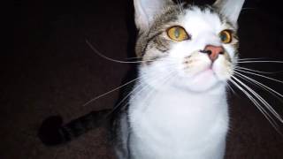 Rewind Is Coming Part 3