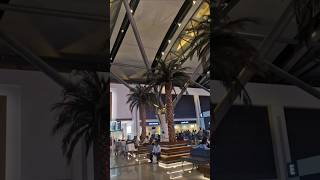 "It's Silent Airport "Muscat International"Beautiful Terminals"World class"Stunning Architecture"