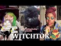Witchtok Compilation~ Witch familiars ✨🌙🔮