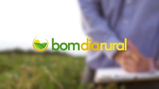 Bom Dia Rural...