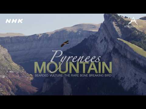 [Teaser] PYRENEES MOUNTAIN