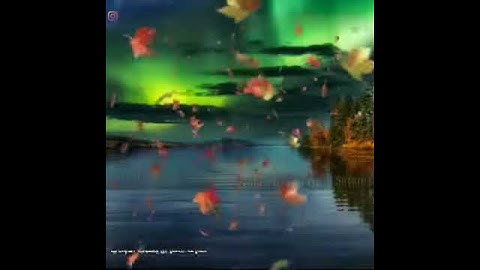 سورة الأعراف بصوت القارئ ناصر بن يعقوب الذوادي