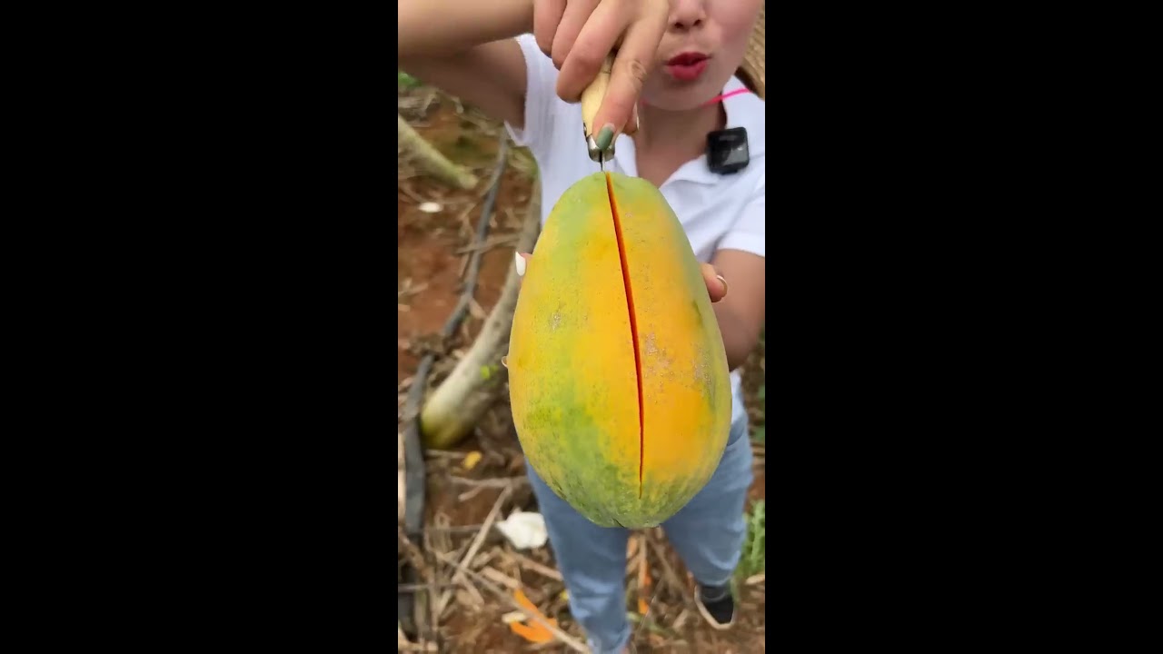 Beautiful Nature Inspur Fresh Fruit Wonderful Video Of Industry 2217
