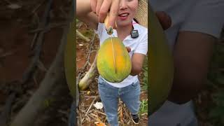 Beautiful Nature - Inspur Fresh Fruit wonderful video of Industry #2217 screenshot 5