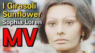 영화 '해바라기' 주제곡 [Sunflower] 'I Girasoli' 헨리 맨시니 소피아 로렌  '마르첼로 마스트로얀니' 비토리오 데 시카 Sophia Loren