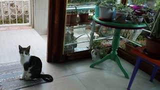 müstakil evde yaşamanın avantajları #müstakilev