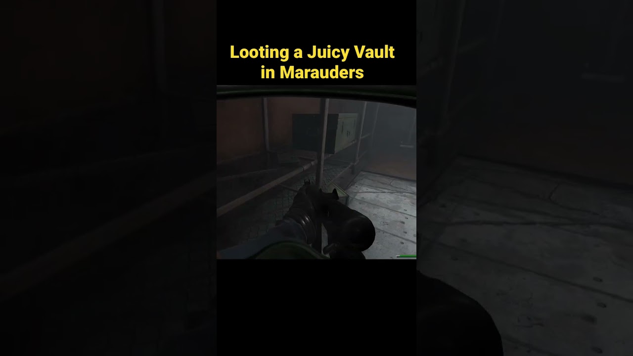 This is what Vault loot looks like in 