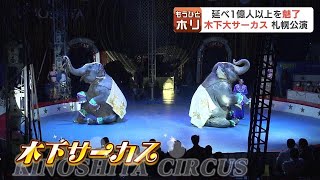 Behind the scenes of the Kinoshita Circus performance: 