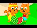 Familia de Gatos - Samurai Corta Sandía Animación de Video 13+