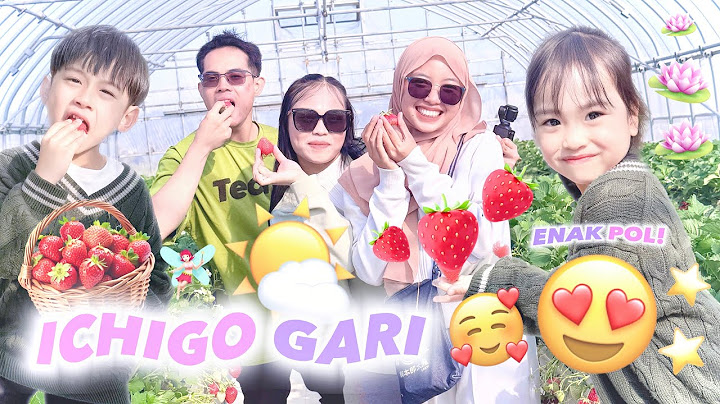 ALL YOU CAN EAT ‼️ ICHIGO GARI AT TOTORI KEN