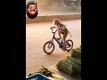 افضل فيديوهات مضحكه في اليوتيوب كله 2026 mp3