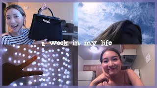 A WEEK IN MY LIFE AS A COLLEGE STUDENT