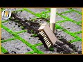 Prefect cleaning of moss grooves   garden faster with these modern gardening tools  2