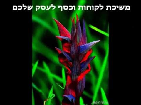 וִידֵאוֹ: איך למשוך כסף בפנג שואי