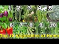 Top 10 Vegetables you can grow at Home/Garden in India (April / May)