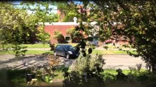 Hopping, Skipping, Running Man