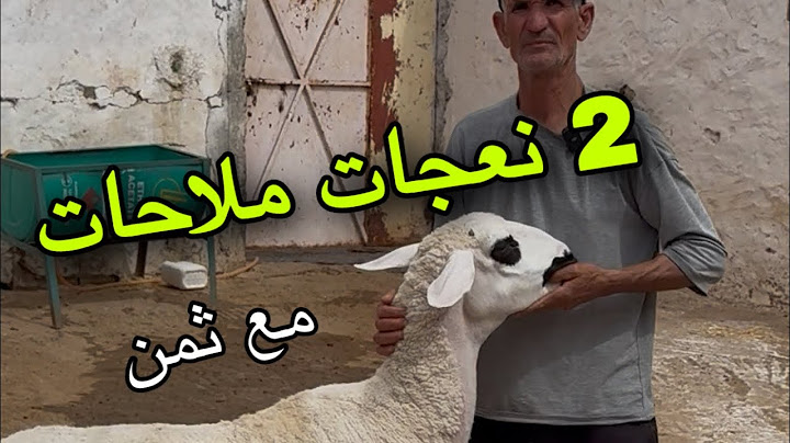 الله بارك اجيو تشوفو الجديد عند سعيد 2 نعجات ملاحات او خروف فحل
