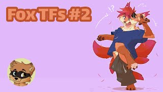 Fox Transformation / Fox TF #2