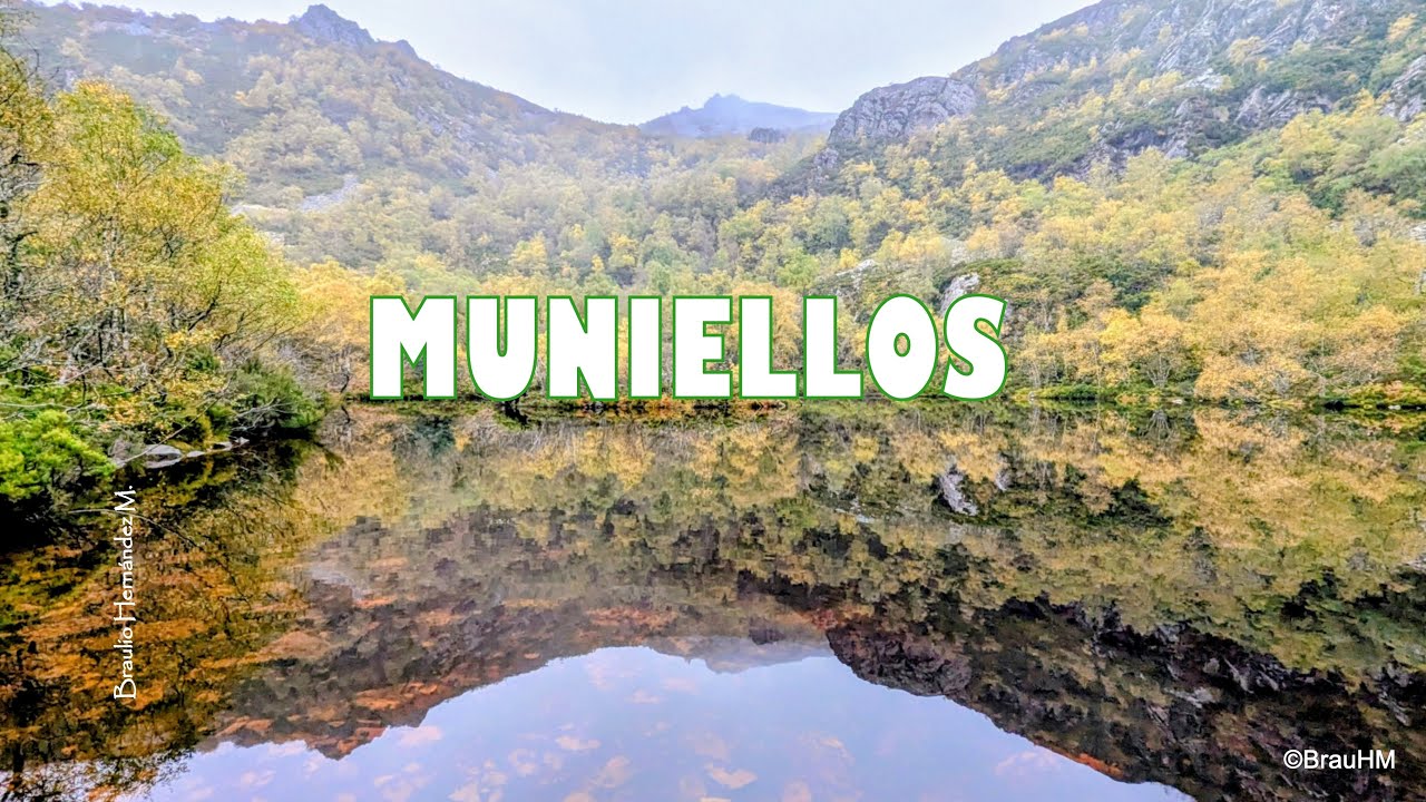 Muniellos - el bosque más protegido de Asturias - Parque Natural Fuentes del Narcea, Degaña e Ibias