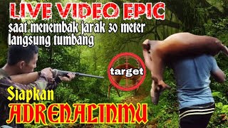 Prepare Your Adrenalin II LIVE Hunting Deer and Shoot 30 Meters Distance Instantly Fall