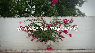 Lido Pimienta - "Quiero Que Me Beses" (Lyric Video)