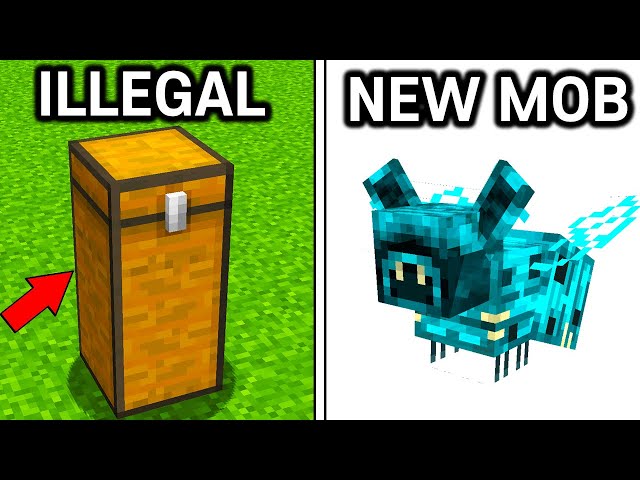 35 Minecraft Secrets You Didn't Know class=