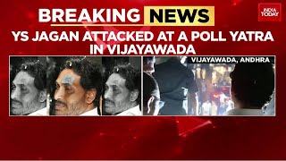 Andhra Pradesh CM Jagan Mohan Reddy Suffers Injury During Roadshow In Vijayawada