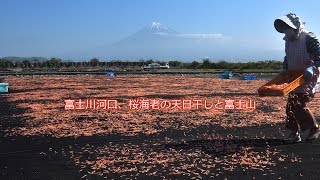 美富士山と桜エビの天日干しの風景を撮影してきました。