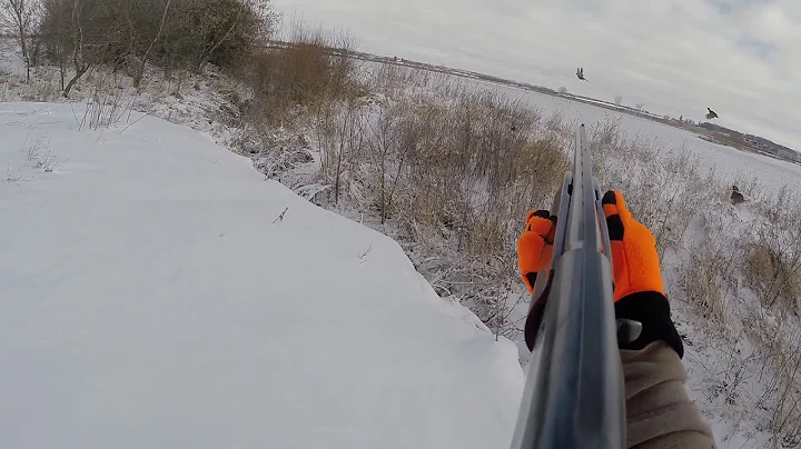 Pheasant Hunting Holiday