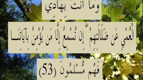 القران الكريم سورة الروم الأية 53.wmv