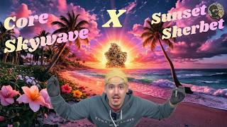 Demecan Core Skywave x Sunset Sherbert 21/1 German Strain Review