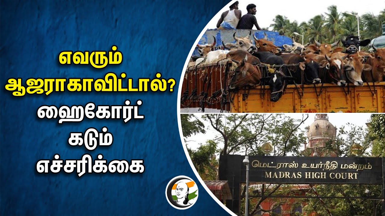 ⁣எவரும் ஆஜராகாவிட்டால்? High Court கடும் எச்சரிக்கை | Animal Welfare Board of India