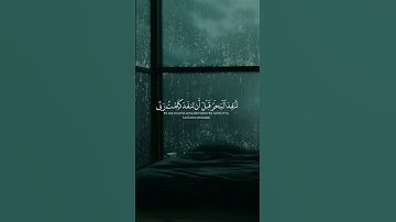 ايات من سورة الكهف |اسلام صبحي #القرآن_الكريم #اكسبلور #explore #حالات_واتس #حالاتواتس