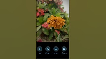 color correction in Google photos #backgroundblur #mobileediting #googlephotos #hacks