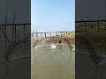 Amazing catch fish by river #fishing #reels #fish #shorts #youtubeshorts