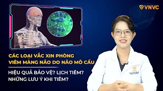 Vắc xin viêm não mô cầu nên tiêm loại nào? So sánh độ hiệu quả | BS Lê Thị Trúc Phương | VNVC