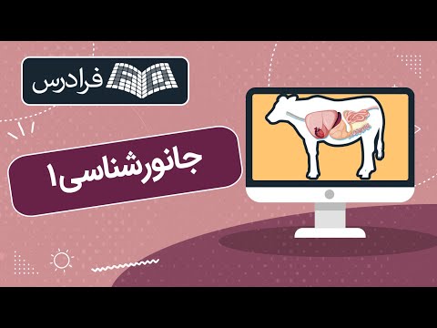 تصویری: جانورشناس چه کار می کند؟