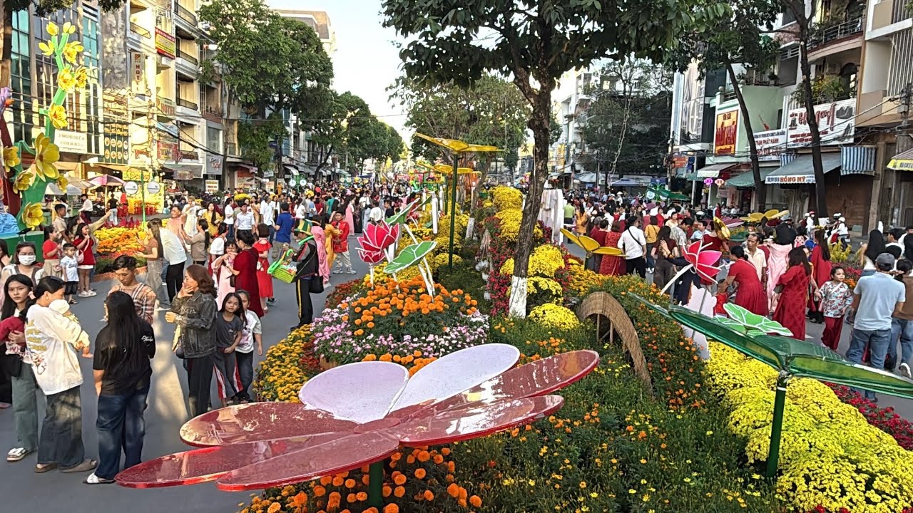 Đẹp Quá! Đường Hoa Cần Thơ bến Ninh Kiều xuân Bính Ngọ 2026 #myduyen #tet #chotet 