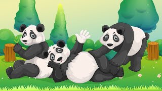 Beautiful wallpaper || panda 🐼 photos || cute images || hd photos || new hd wallpaper || hd dkg