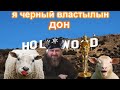 Кадыров кинозвезда  (приключения Кадырова в Голливуде и гей-клубе)