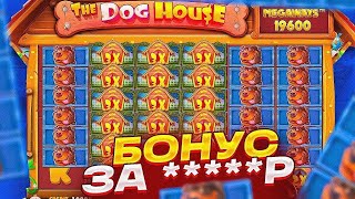 ВЫБИЛ БОНУСКУ ЗА 49500 И ОНА ДАЛА ЭТО В DOG HOUSE MEGAWAYS ЭТО МАКСВИН? ЗАНОСЫ НЕДЕЛИ