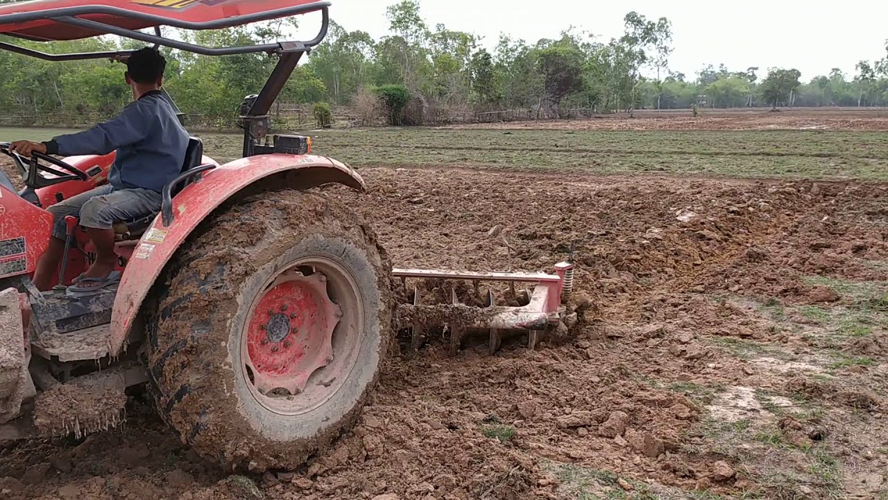 #40 Tractor Kubota M6040ភ្ជួរដីពង្រោះស្រូវវស្សា #ត្រាក់ទ័រភ្ជួរស្រែ #អាត្រាក់ #Traktor Kubota
