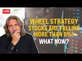 Wheel Strategy - Stocks Are Falling More Than 6%! What Now? - Coffee With Markus - Episode 174