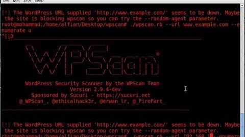 attack and defense freeebsd #5 how to hack website wordpress using wpscan bruteforce