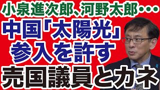 【平井宏治】中国企業「太陽光ビジネス」参入を許す売国議員【WiLL増刊号】